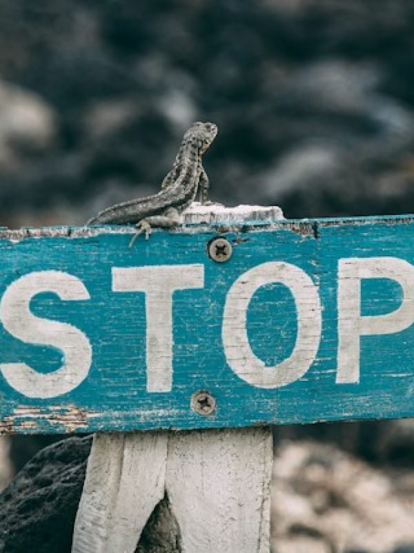 jose-aragones-81QkOoPGahY-unsplash